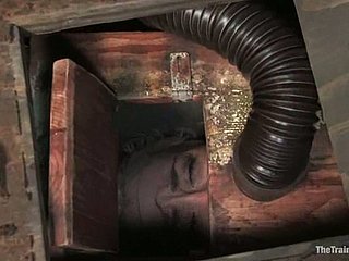 가슴과 전리품 금발 로렐라이 리 묻혀됩니다