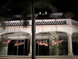 Três meninas amarradas são humilhadas em um gramado tarde da noite