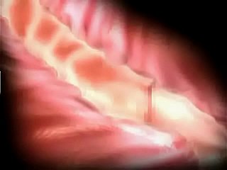 مصیبت اور خوشی 3D Hentai