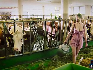 Kerosakan spontaneous seks dan menipu tuannya di kandang