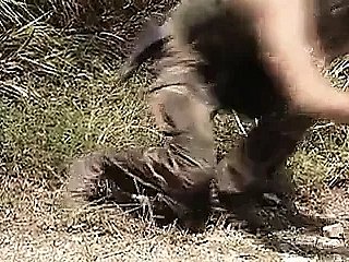 Sexual intercourse War Crimes (1995)