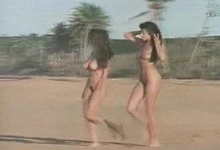 دو نڈسٹ ساحل سمندر کے باب