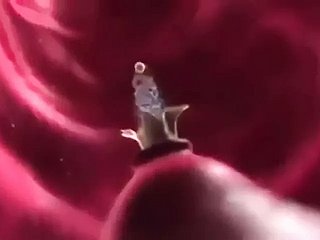 Impregnation Day-dream (Animated)