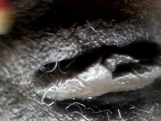 مدغشقر