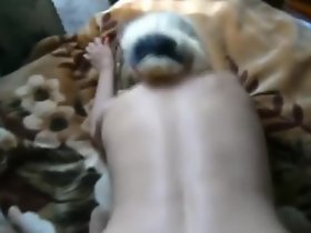 Chien 2