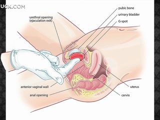 Belajar membuat pijat erotis untuk wanita Anda, membuatnya senang dan bersantai dan kemudian menidurinya keras! Whe akan menjadi plastisin lembut