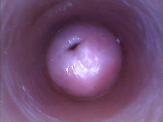 Kira کی - پر Strange سیلفی (endoscope کے بلی کیمرے ویڈیو)