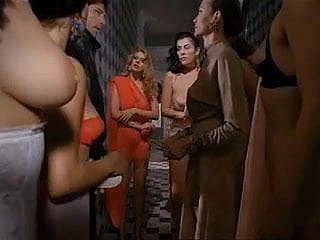 Paprika (1991) bởi Tinto Guarantee