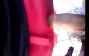 porno integument otobüs durağı