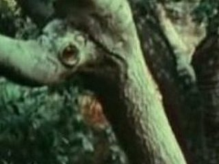 Gadis muda fucked oleh Bigfoot